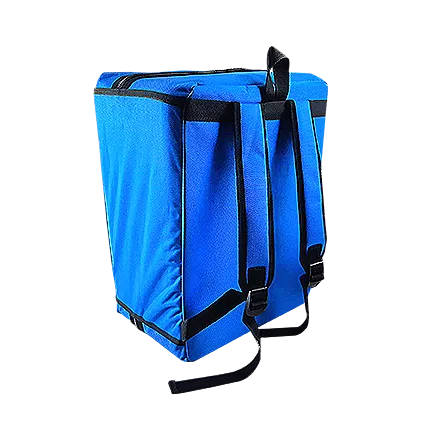 Funda caja Phantom 4 RTK & P4 Multispectral